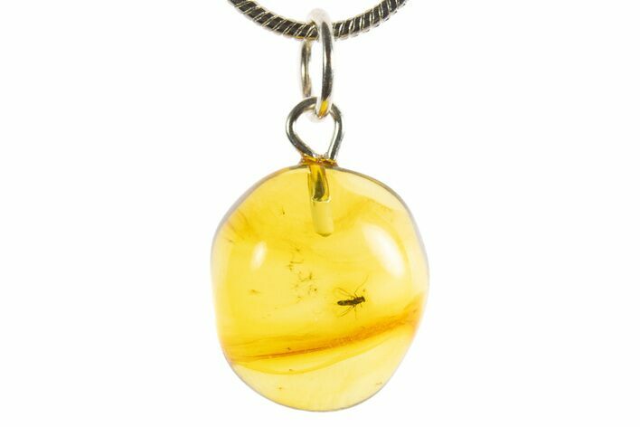 Polished Baltic Amber Pendant (Necklace) - Contains Fly! #339557